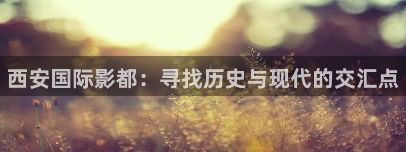 在线视频观看麻豆：西安国际影都：寻找历史与现代的交汇点