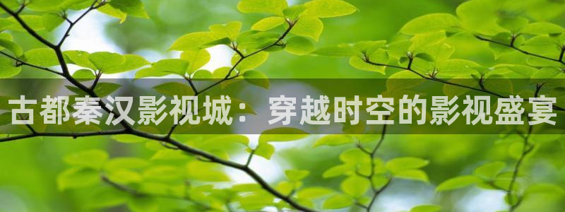 麻豆mv视频免费观看