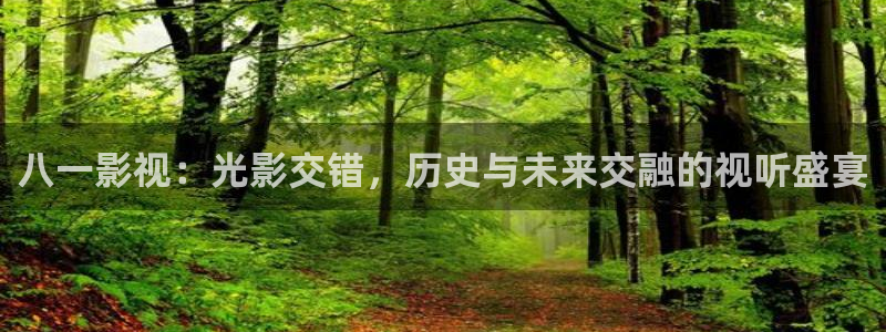 麻豆久久久9性大片：八一影视：光影交错，历史与未来交融的视听盛宴
