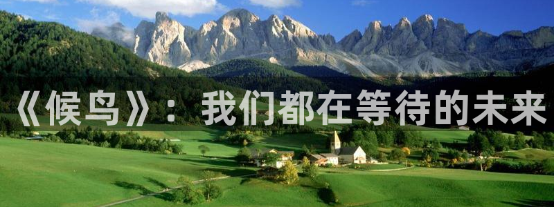 久久麻豆三级电影：《候鸟》：我们都在等待的未来