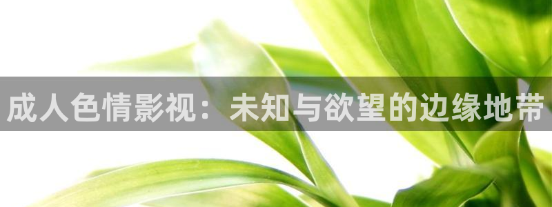 国产麻豆精品电影