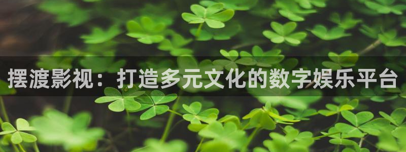 97视频麻豆