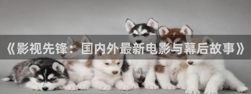 国产草草麻豆浮力影院