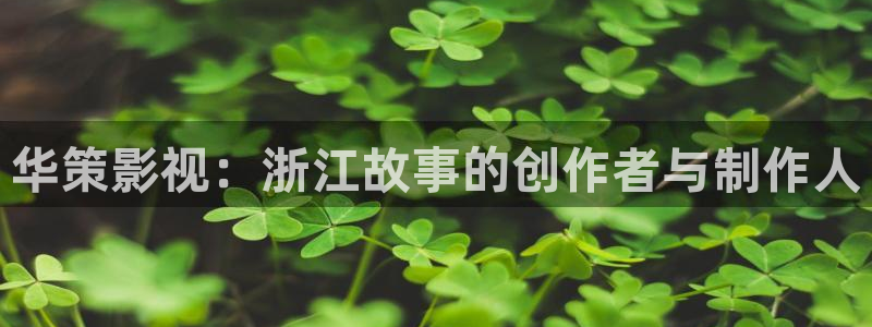 麻豆免费观看高清完整视频播放：华策影视：浙江故事的创作者与制作人