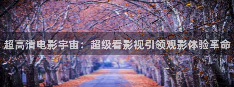 麻豆高清传媒