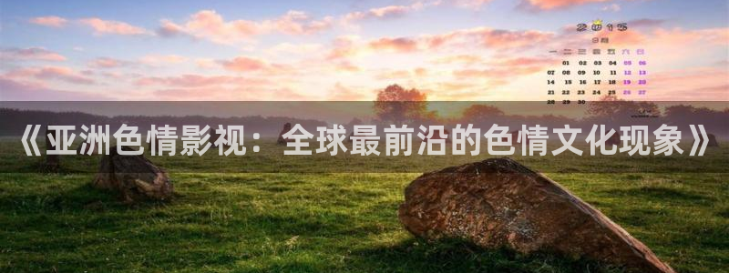 精品麻豆电影：《亚洲色情影视：全球最前沿的色情文化现象》