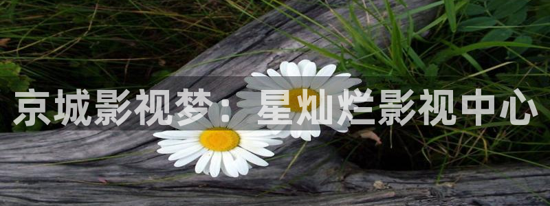神马影院达达兔91麻豆：京城影视梦：星灿烂影视中心