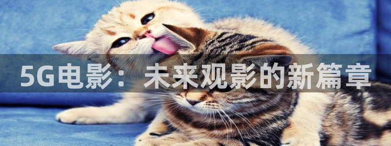 麻豆电影网在线观看：5G电影：未来观影的新篇章