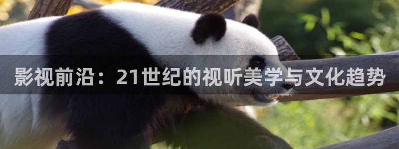 国内精品伊人久久久久影院麻豆