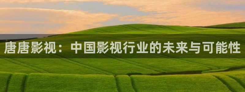 麻豆mv高清免费
